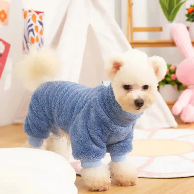 a small white dog wearing a blue sweater