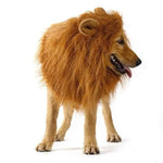 Cute Pet Cosplay Clothes Transfiguration Costume Lion Mane Winter Warm Wig Cat Large Dog Party Decoration With Ear Pet Apparel NothingHereYouDontWant HQ Fashion & Pets United States No ears CJJJCWGY00005-No ears CJJJCWGY00005- ears No ears ears 6099779758 USD