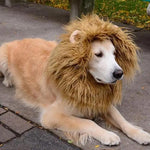 Cute Pet Cosplay Clothes Transfiguration Costume Lion Mane Winter Warm Wig Cat Large Dog Party Decoration With Ear Pet Apparel NothingHereYouDontWant HQ Fashion & Pets United States No ears CJJJCWGY00005-No ears CJJJCWGY00005- ears No ears ears 6099779758 USD