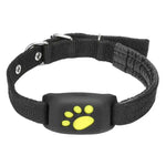 a black dog collar with yellow paw prints