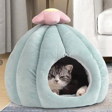 a cat is looking up at a stuffed pumpkin