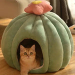 a cat sitting inside of a green pumpkin shaped bed