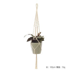 a potted plant hanging from a rope