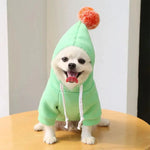 a small white dog wearing a green hoodie