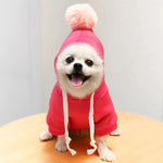 a small white dog wearing a red sweater and a pink hat