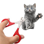 a hand holding a pair of scissors with a cat on it