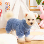 a small white dog wearing a blue sweater