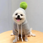 a small white dog wearing a gray sweatshirt with a green pom - pom