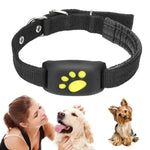 a woman holding a dog in front of a dog collar