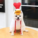 a white dog wearing a chicken costume on top of a table