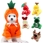 a small dog wearing a pumpkin costume