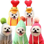 a group of small dogs wearing sweaters and hats