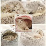 a collage of photos of a cat in a bed