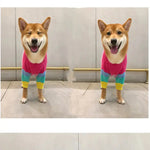 two pictures of a dog wearing a sweater