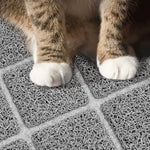 a close up of a cat's paw on a rug